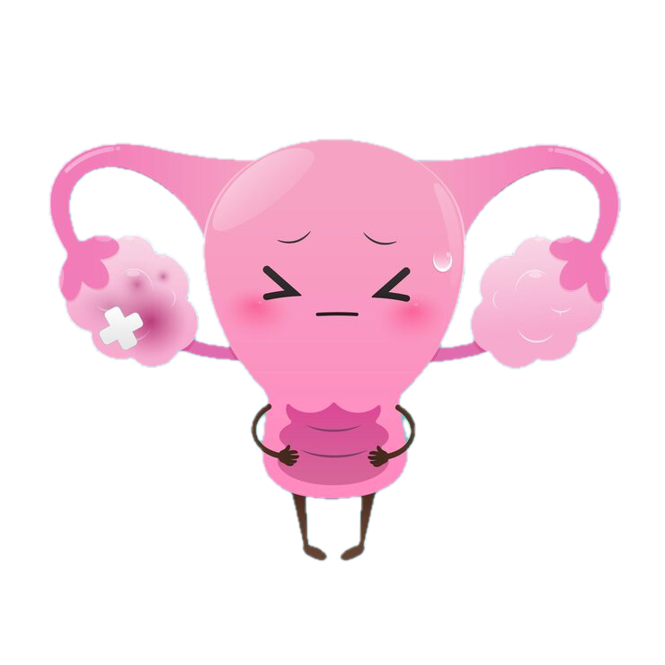 PCOS Reversal Program